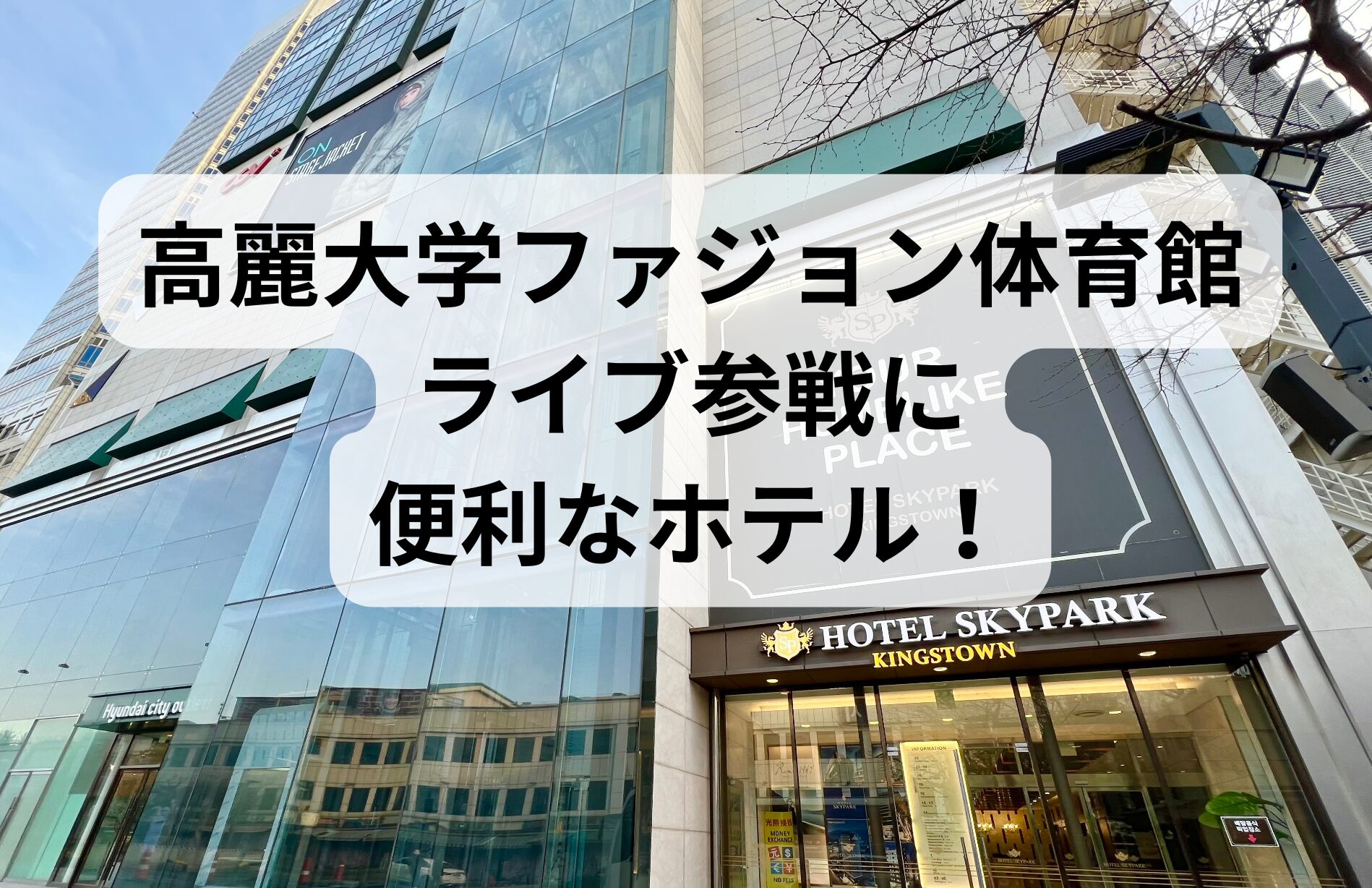 ホテルスカイパーク キングスタウン東大門の外観